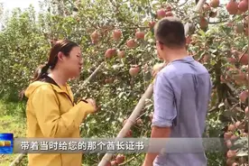 畅游山海·寻梦田园，一条风景道 万家致富路图片