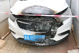 这个魔术道具闯下大祸图片