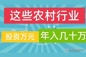 分享五个投资小、利润高的农村小型加工厂，建议收藏图片