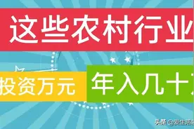 分享五个投资小、利润高的农村小型加工厂，建议收藏图片