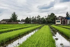 农村户口转出后原来的土地会不会收回？2021年，关于这2点要清楚图片