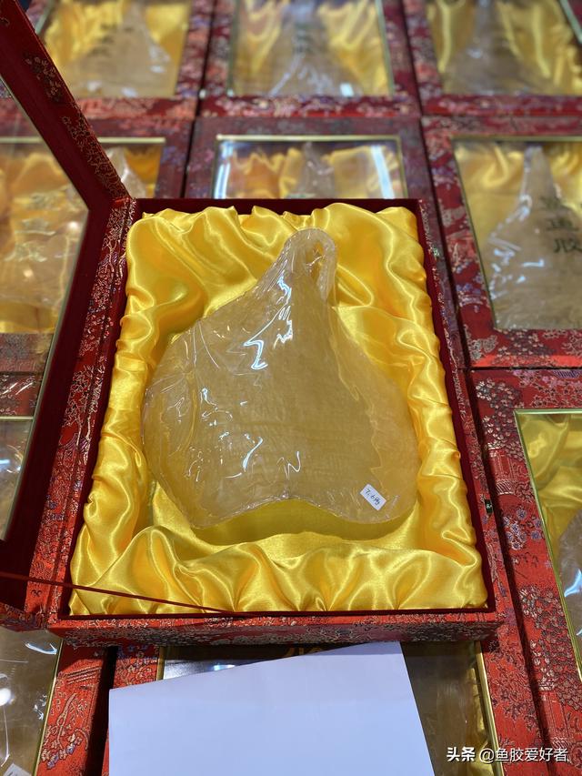 斗湖鱼胶图片大全 2025年斗湖鱼胶的功效和作用