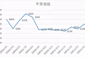2021年4月平原新区房价及楼市简报图片