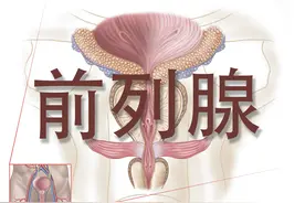 正视前列腺疾病，提前做好预防图片