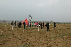富平县2021年全国科普日系列活动 | 科普示范基地集锦——沐梵农林科普示范基地图片