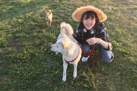 除了《乘风破浪的姐姐》，不出门的日子你也可以看看这些神仙综艺图片