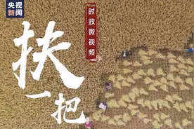 时政微视频丨扶一把图片
