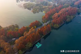 秋天，无论在什么地方，都会是一场盛宴图片