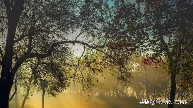 无比深情的十首爱情诗，每每读来都被其中凝含的深情所感动