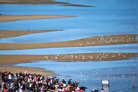 看不到鸽子为什么要叫鸽子窝？秦皇岛这个看海的地方，名气很大图片