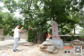 江岭，为什么这么红？图片