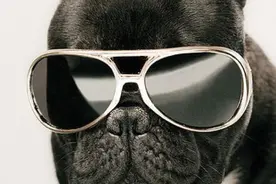 v神说Swarm（BZZ）以后能达到10000美金 早上车实现财富自由图片