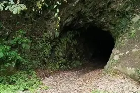 “被国家遗忘的金矿”高州市石鼓林坑淘金岭，原来是这样被关闭的图片