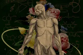 灵魂画手！协和医学生手绘人体解剖图，堪比“艺术品”，颇具美感！图片