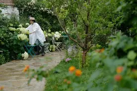 花了9年时间，她将两栋四合院重新改造，完工后，成为了空中花园图片