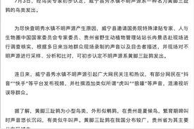 鸟类专家：初步认定贵州威宁秀水不明声源系黄脚三趾鹑发出图片
