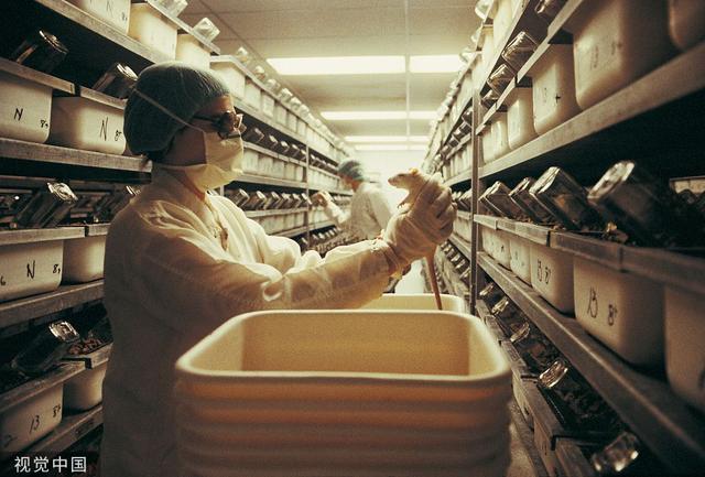 what？限制蛋氨酸与抑制肿瘤生长有关？