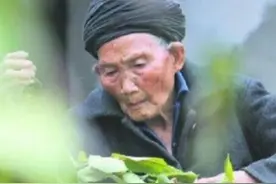 “长寿之王”龚来发：一辈子吸土烟，不婚无娃，却活到了133岁图片