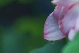 故事：买车要低调图片