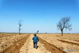 农民抛荒田地外出打工，这种现象还能持续多久？未来五年是关键期图片