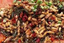 寻味湖南湘西特色风味美食图片