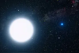 形似蜥蜴，传说中的“天狼星人”是否真的存在？图片