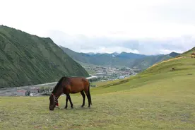 成都—稻城亚丁318线绝美沿途风光（二）新都桥+318转227国道沿线图片