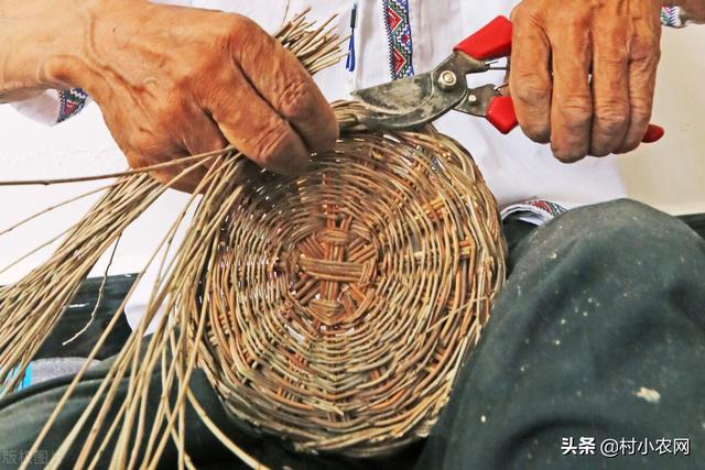 农村青年返乡创业,到底干啥能致富?这8个项目就“钱”景可观