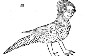 「山海经」杂谈：猪身鸡爪，鹰身人手，四耳猴身，见者注意图片