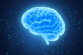 如何用脑科学的方式打开传统骨相学？图片