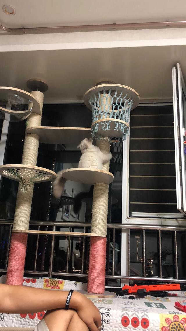 自己做一个猫爬架
