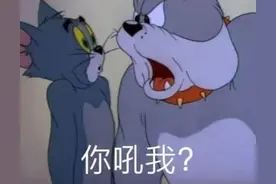 猫和老鼠｜聊天必备表情包图片