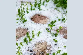 赤道附近下冰雹背后的真相图片