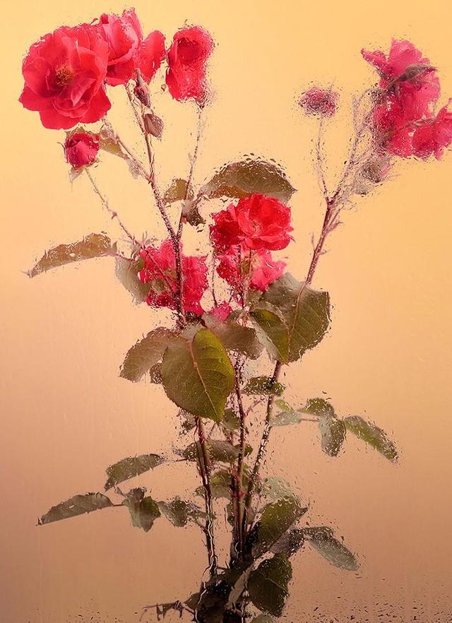 Ӱһڿ