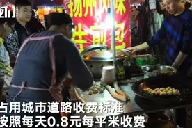 浙江一地发文件征求意见：夜摊收摊位费每天0.8元/㎡图片