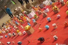 套圈背后的三点生活启示图片
