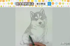 一步一步教你画可爱狗狗哈士奇素描铅笔画！适合新手练习的素描画图片
