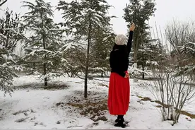 迟到的雪——下得那么深，下得那么认真图片