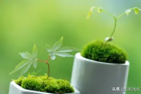 成年人的绝交，都是从这四个时刻开始的图片