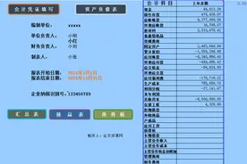 新来小出纳“干掉”主管，看完她的会计记账管理系统，大写的服图片