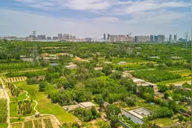 河南寺河南遗址，青砖窑洞建筑群，小众静谧很少人知图片