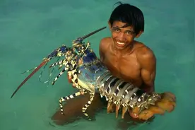 龙虾可以被人工干预长成怪兽吗？不会衰老不断变大，但会自然死亡图片