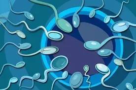 备孕5年没好消息，医生说原因在丈夫身上？！图片