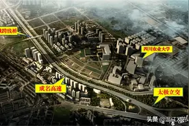 预计6月、8月竣工！温江出行又多了N个选择图片