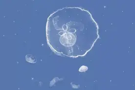 别来无恙，你在心上图片