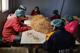 岷县：千年药乡焕发新活力图片