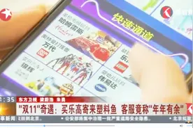 “双11”奇遇：买乐高寄来塑料鱼，客服竟称“年年有余”视频封面