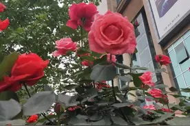 珍惜我们来之不易的幸福生活图片