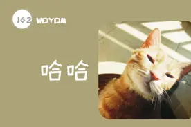 盘点猫咪迷惑行为：越来越猜不透喵星人的心思，是要征服全人类吗图片
