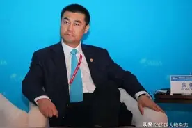 上市公司老总涉黑被判无期，曾找市委副书记当“保护伞”，狂掷5亿买私人飞机图片